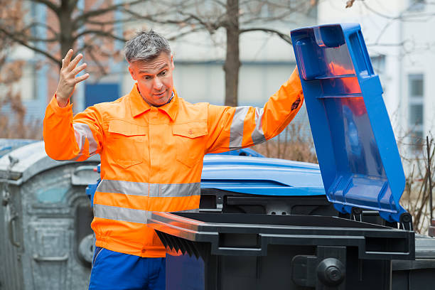 Best Moving and Downsizing Cleanouts  in Elkton, VA